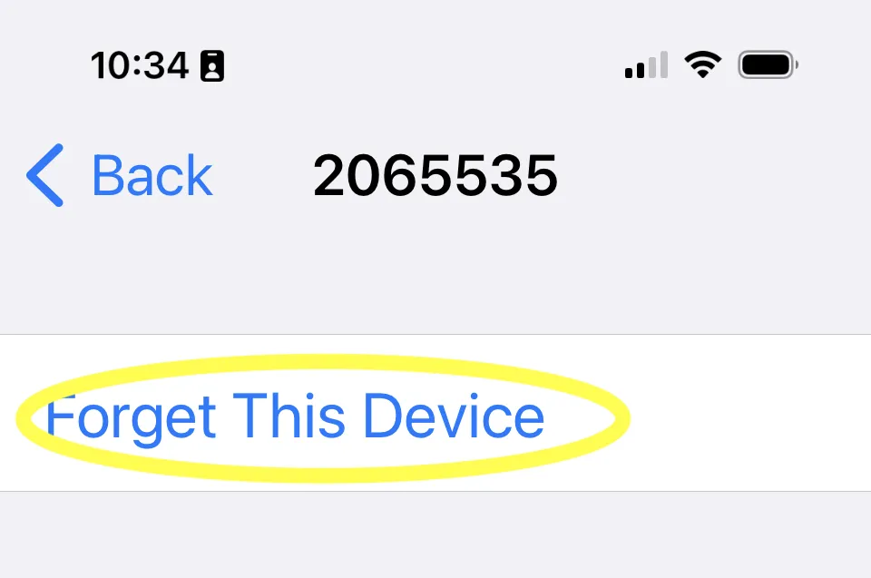 Apple forget device